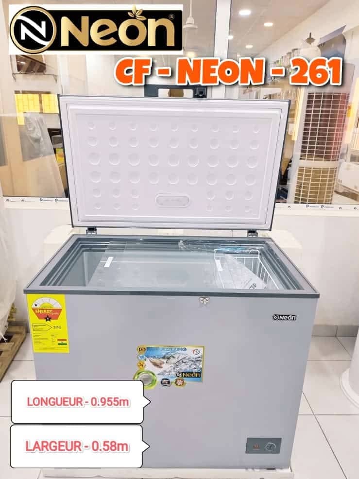 NEON CONGELATEUR 261 N